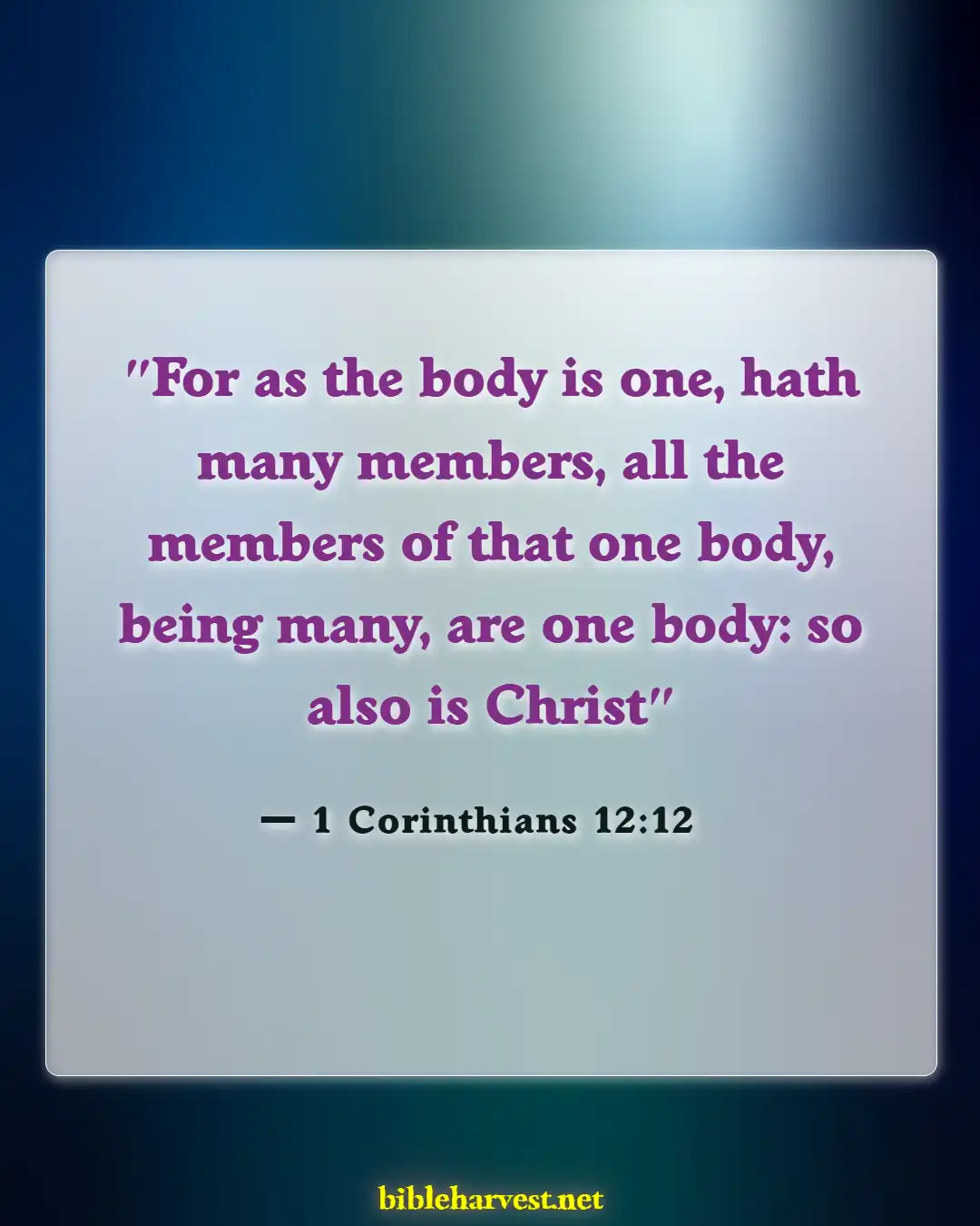 Bible Verses About Division (1 Corinthians 12:12)