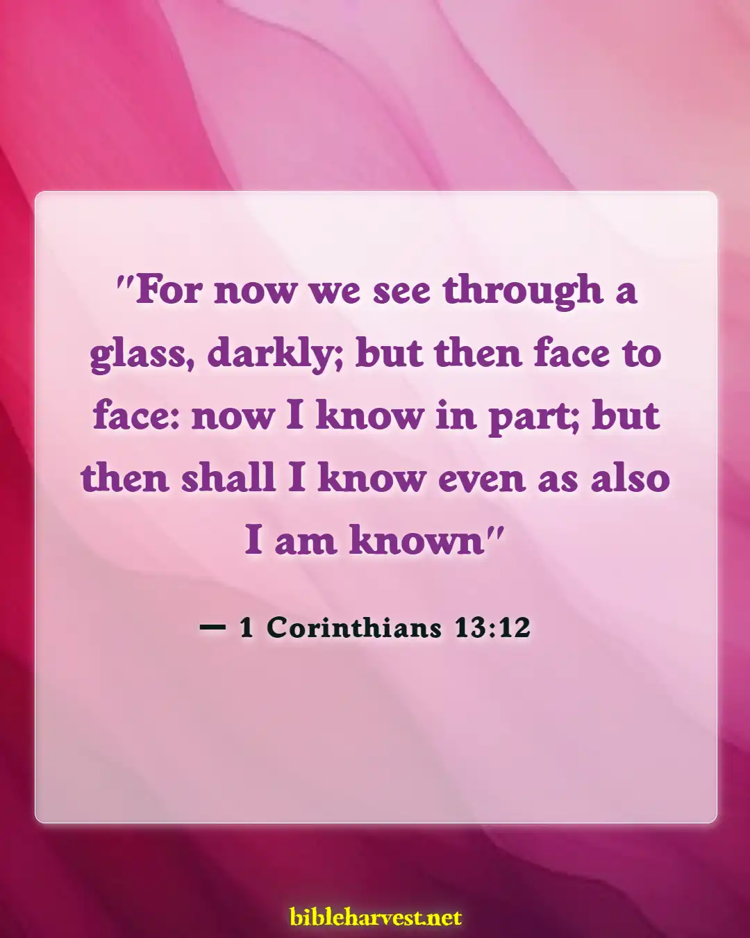 Bible Verses About Reunited With Loved Ones In Heaven (1 Corinthians 13:12)