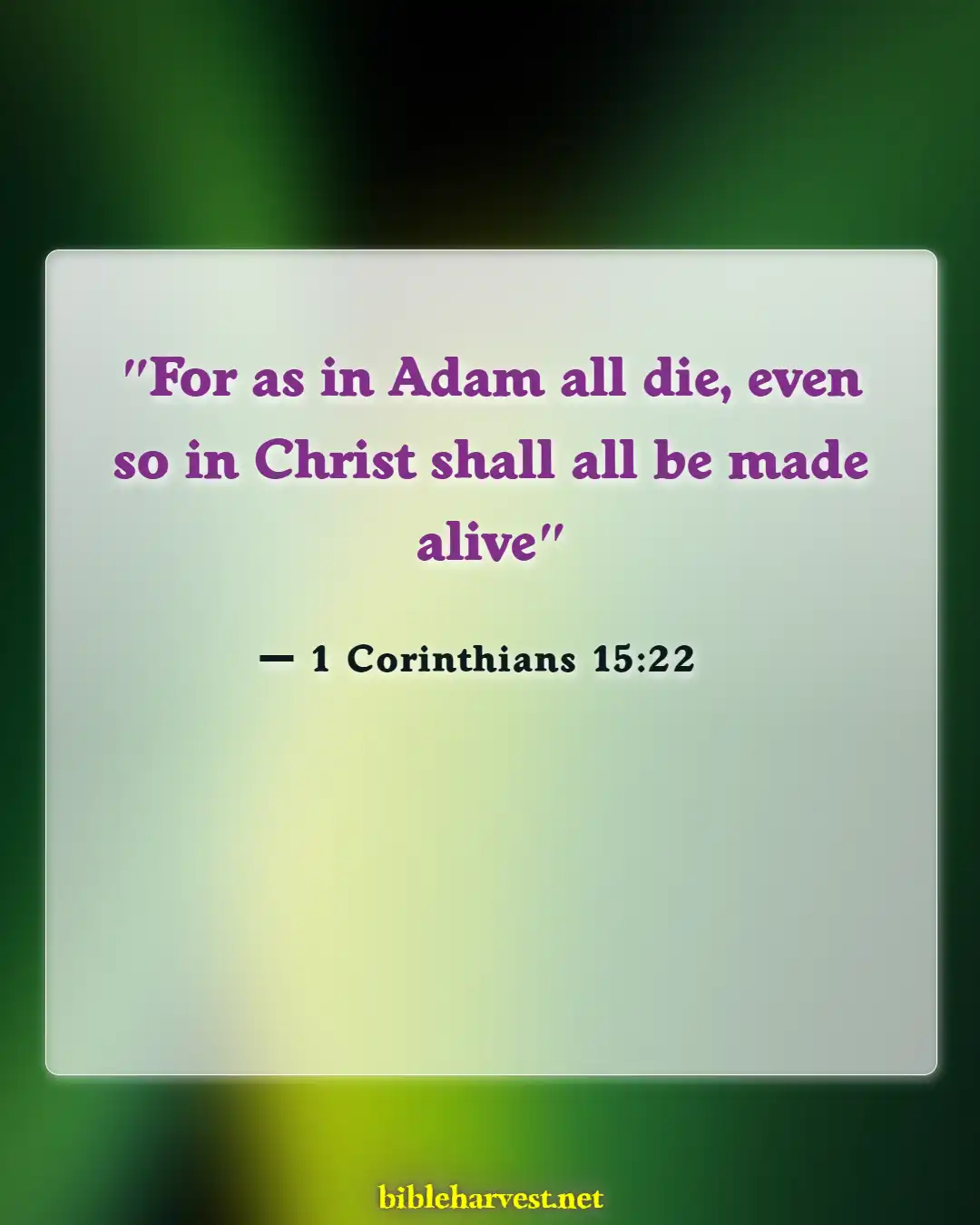 Bible Verses About Eternal Death (1 Corinthians 15:22)