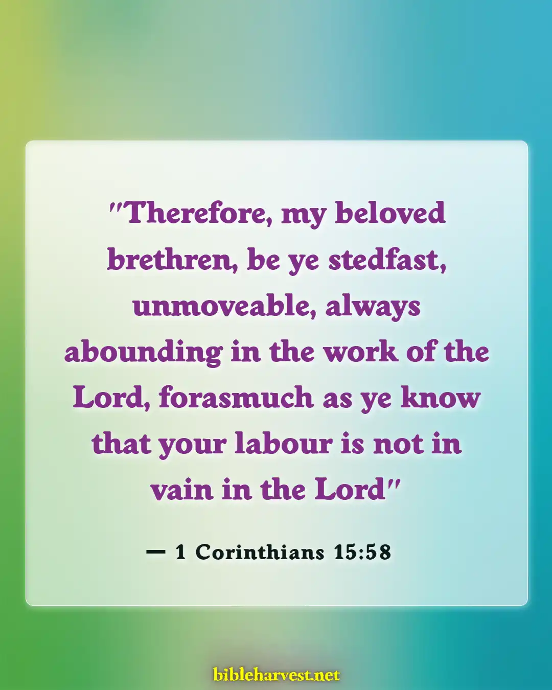 Bible Verses About Working Hard And Not Being Lazy (1 Corinthians 15:58)