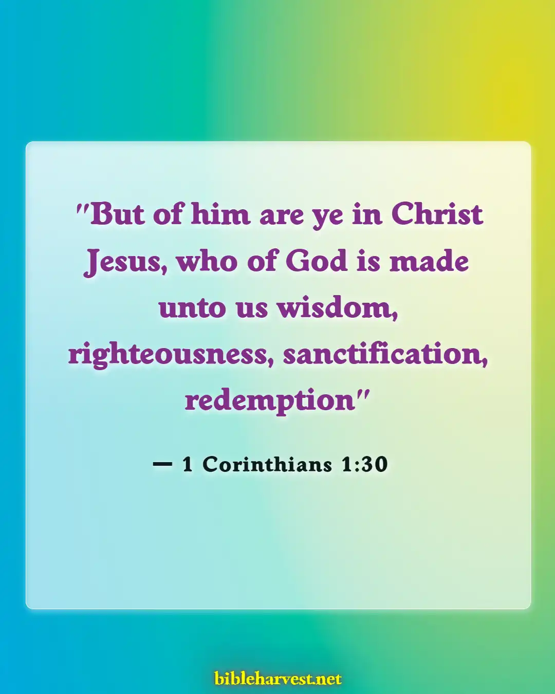 Bible Verses About Redemption (1 Corinthians 1:30)
