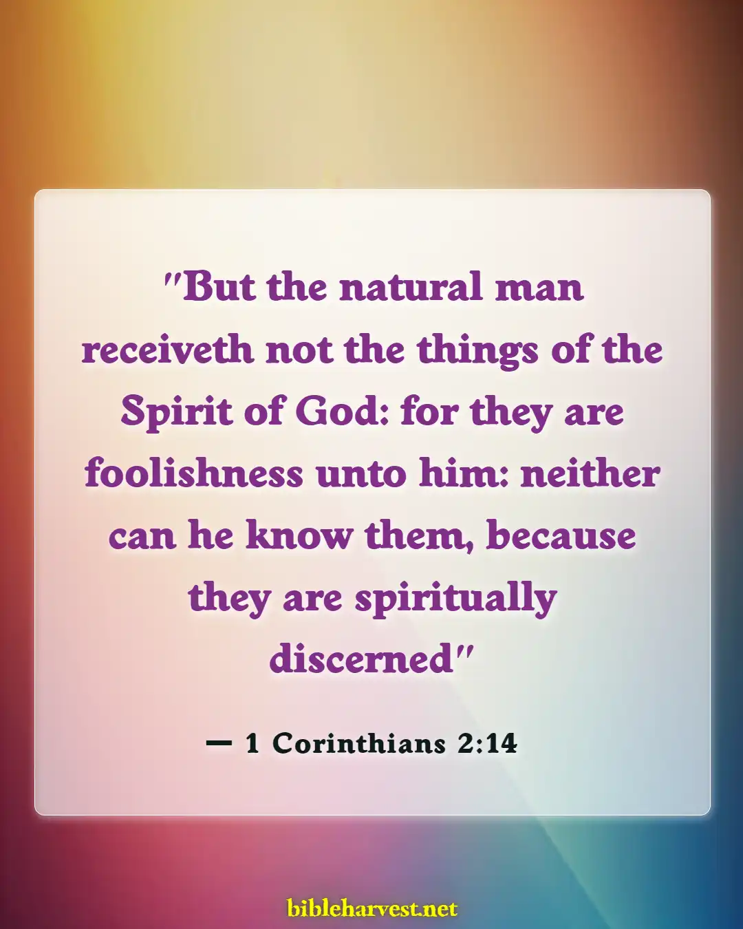 Bible Verses About Atheism (1 Corinthians 2:14)