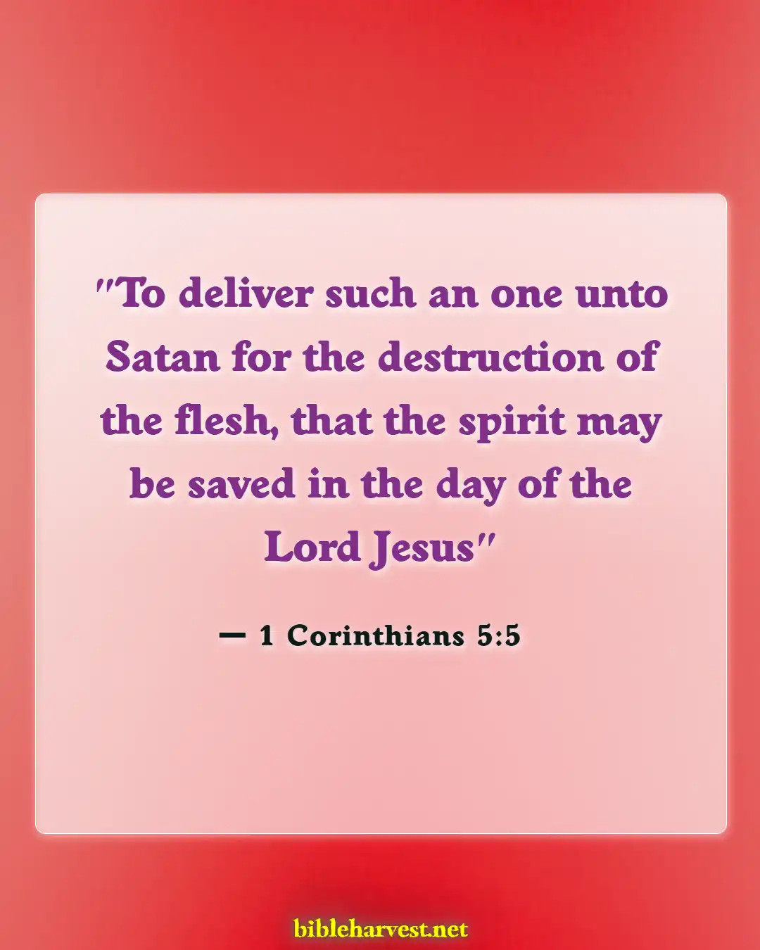 Bible Verses About Toxic People (1 Corinthians 5:5)