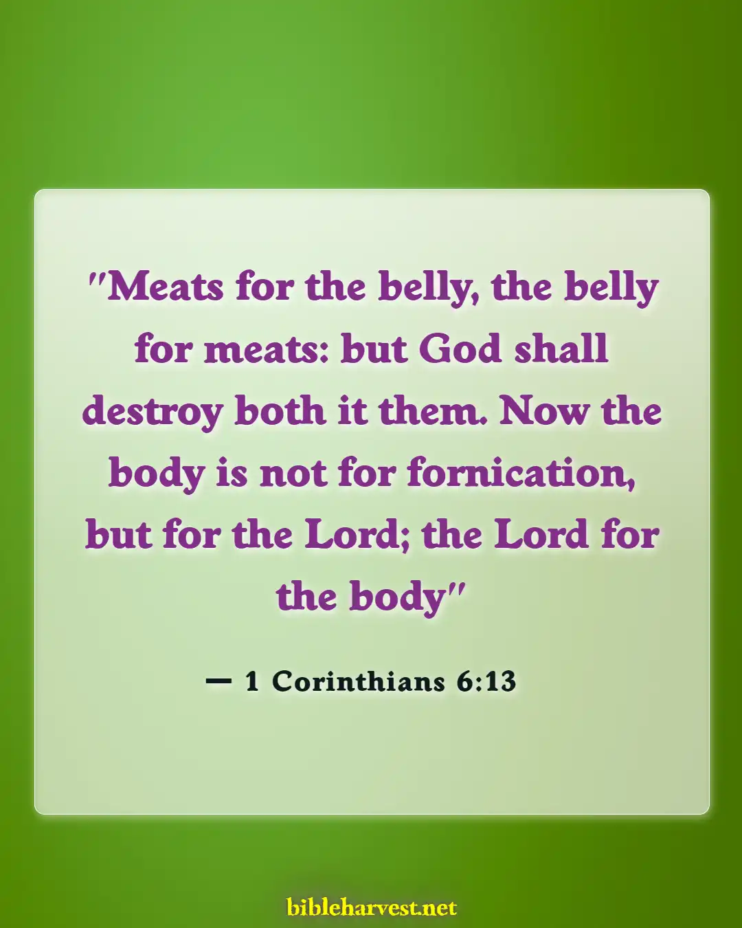 Bible Verses About Masterbation (1 Corinthians 6:13)