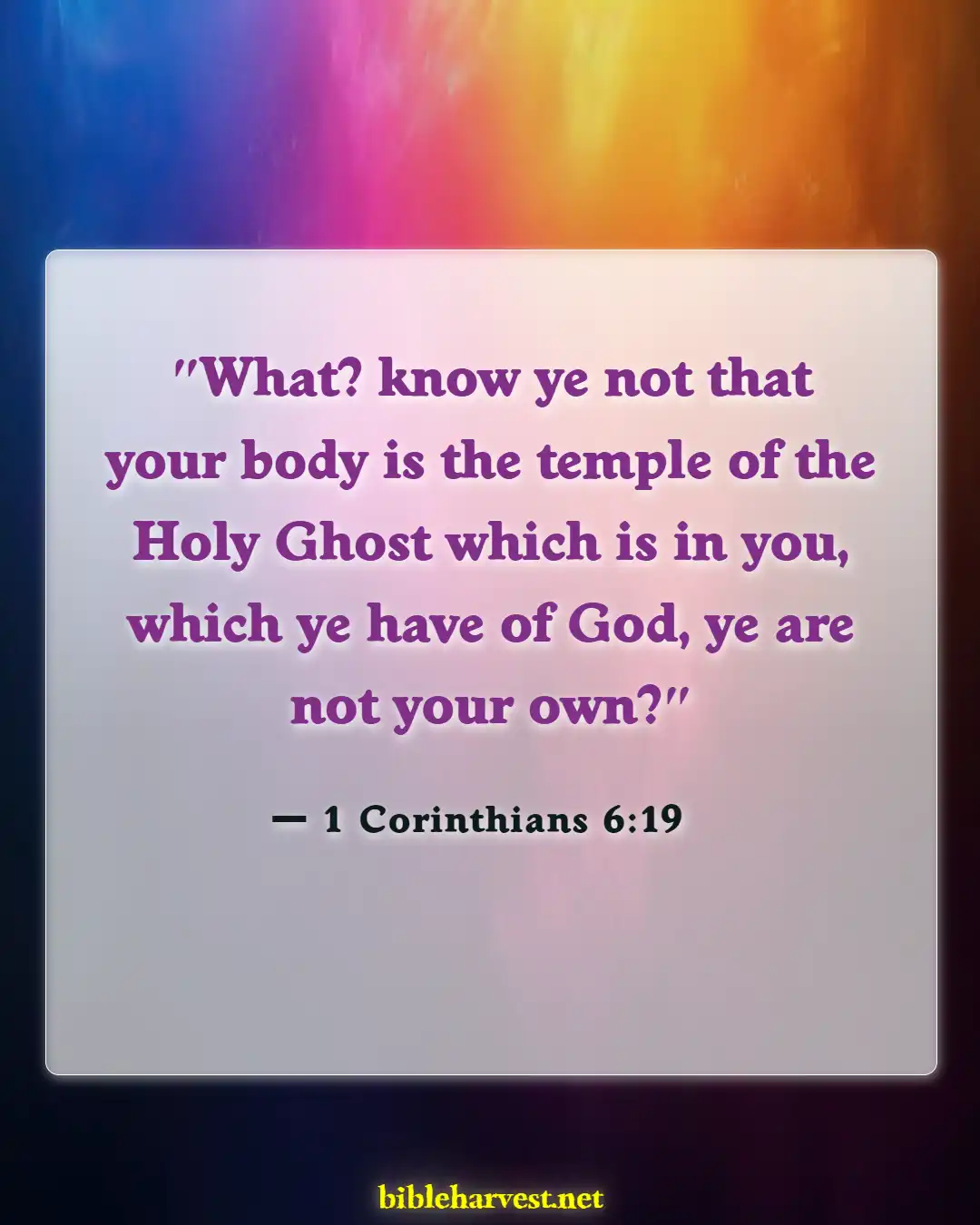 Bible Verses About Set Apart From The World (1 Corinthians 6:19)