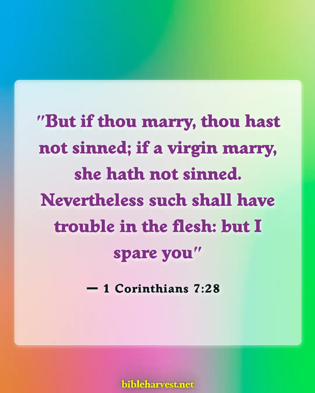 Bible Verses About Abuse In Marriage (1 Corinthians 7:28)