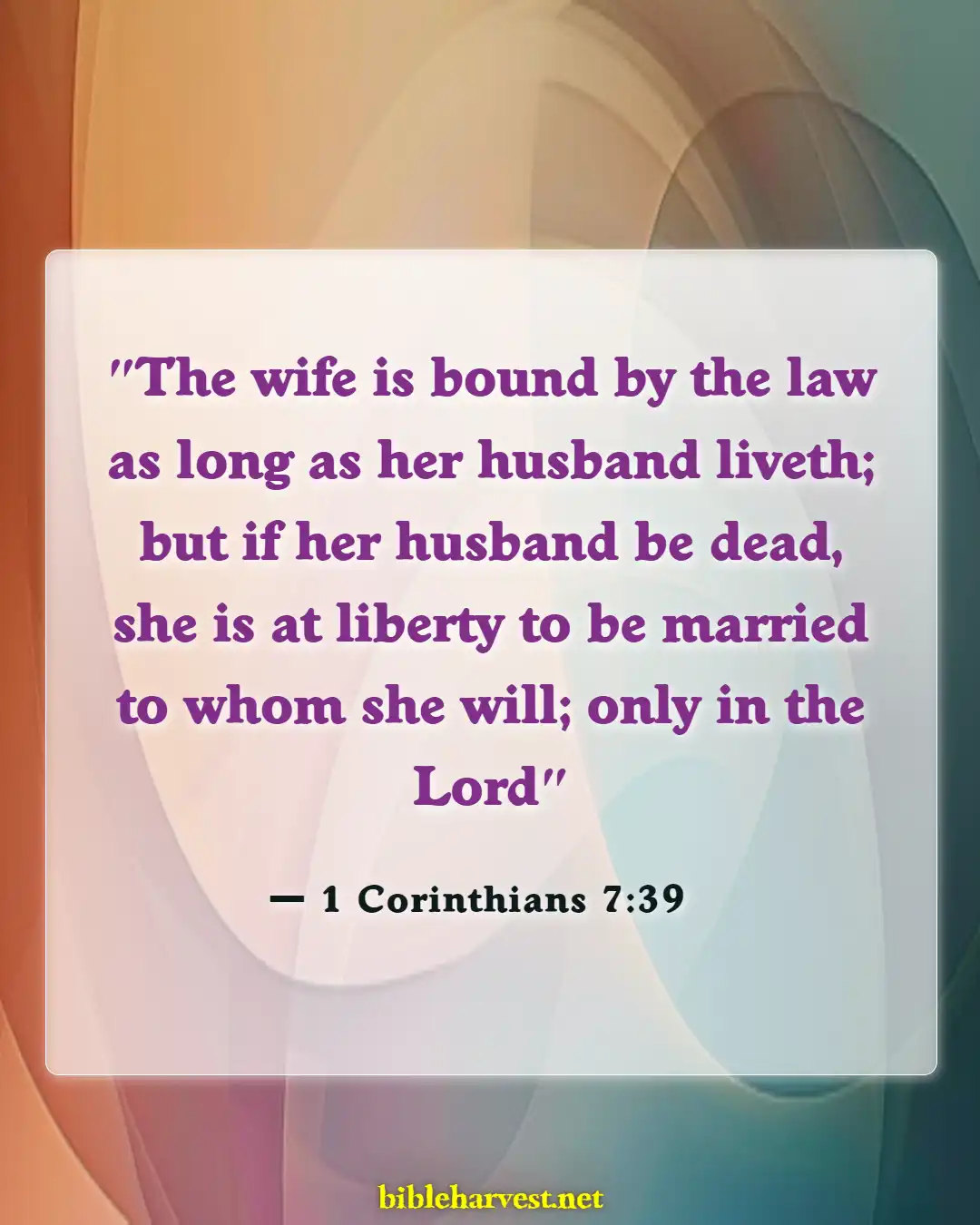 Bible Verses About Mixing Races (1 Corinthians 7:39)