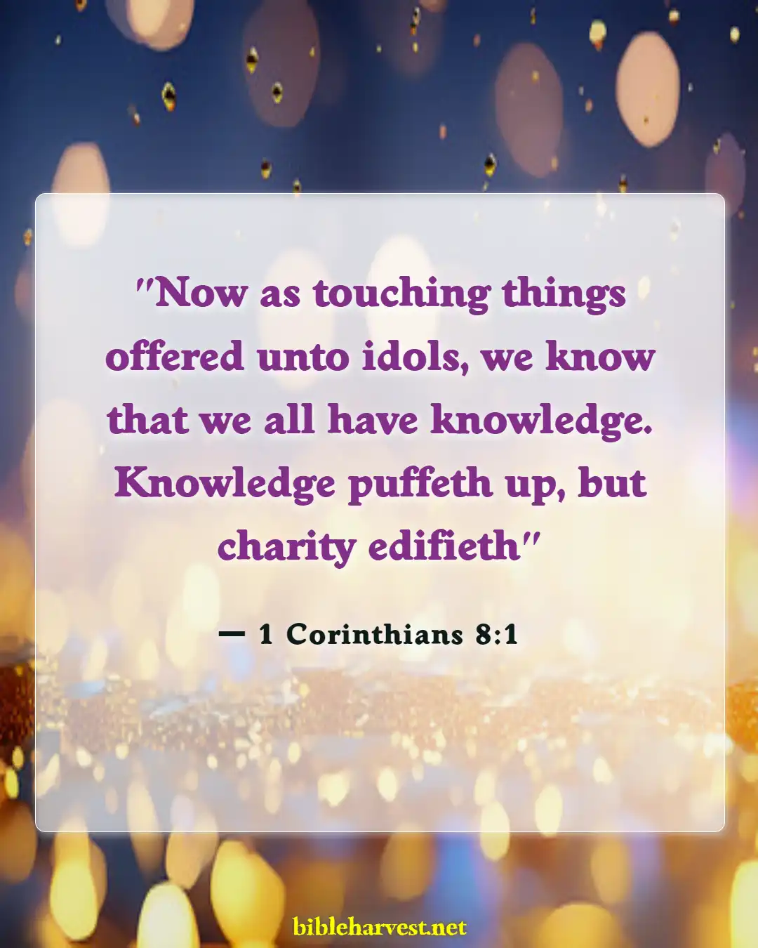 Bible Verses About Too Much Knowledge Is Dangerous (1 Corinthians 8:1)