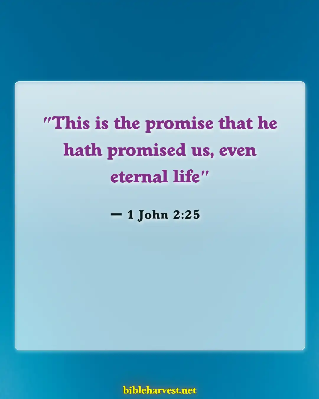 Bible Verses About For Eternal Life (1 John 2:25)