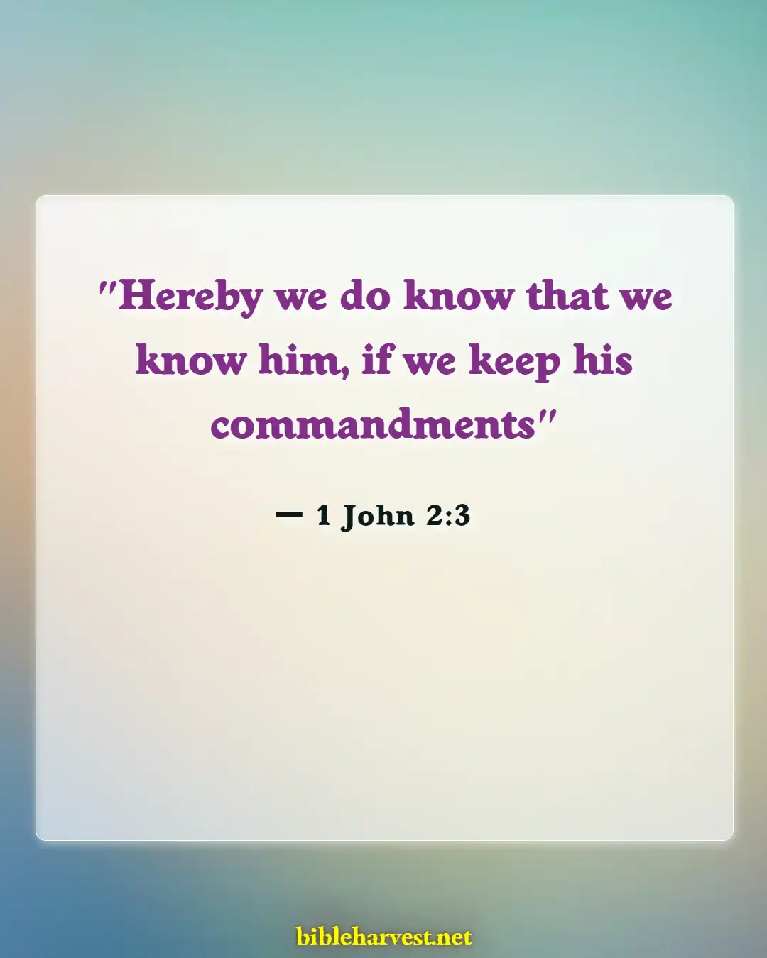 Bible Verses About Building A Relationship With God (1 John 2:3)