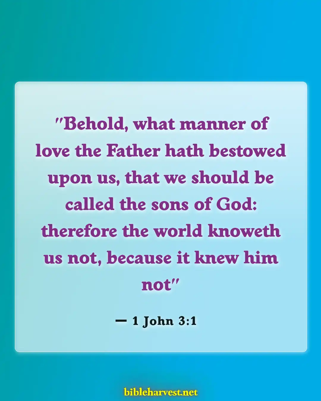 Bible Verses About Adoption (1 John 3:1)