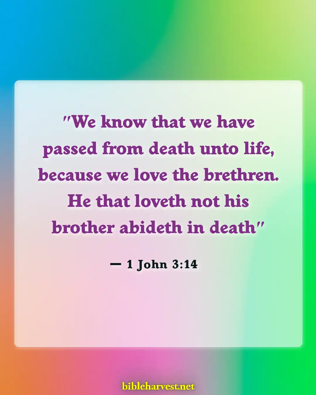 Bible Verses About Assurance Of Salvation (1 John 3:14)