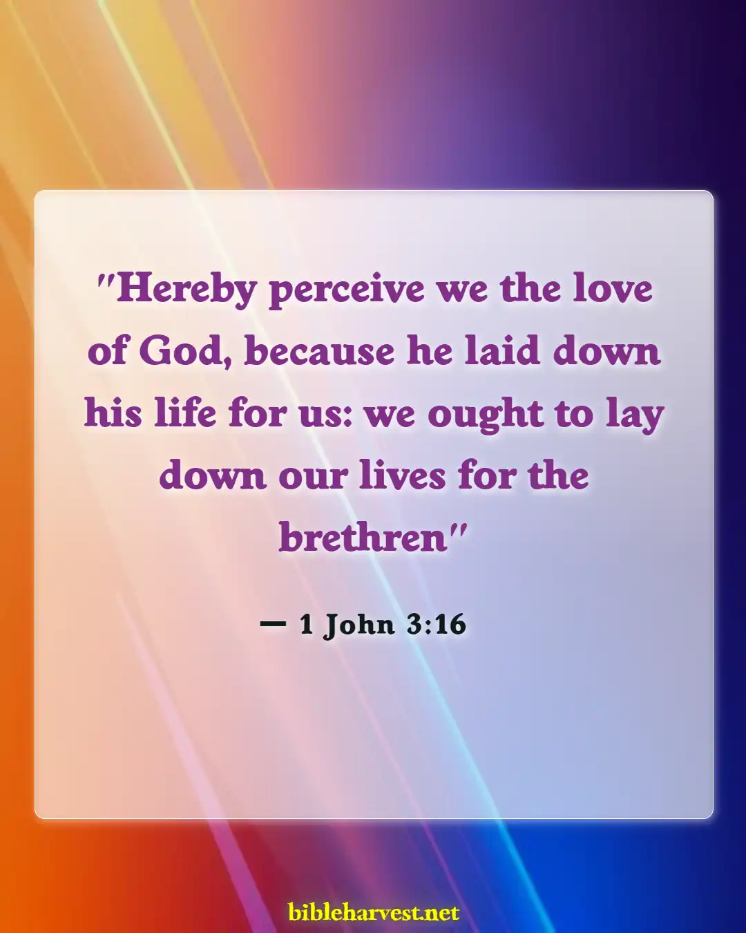 Bible Verses About Brotherlys (1 John 3:16)