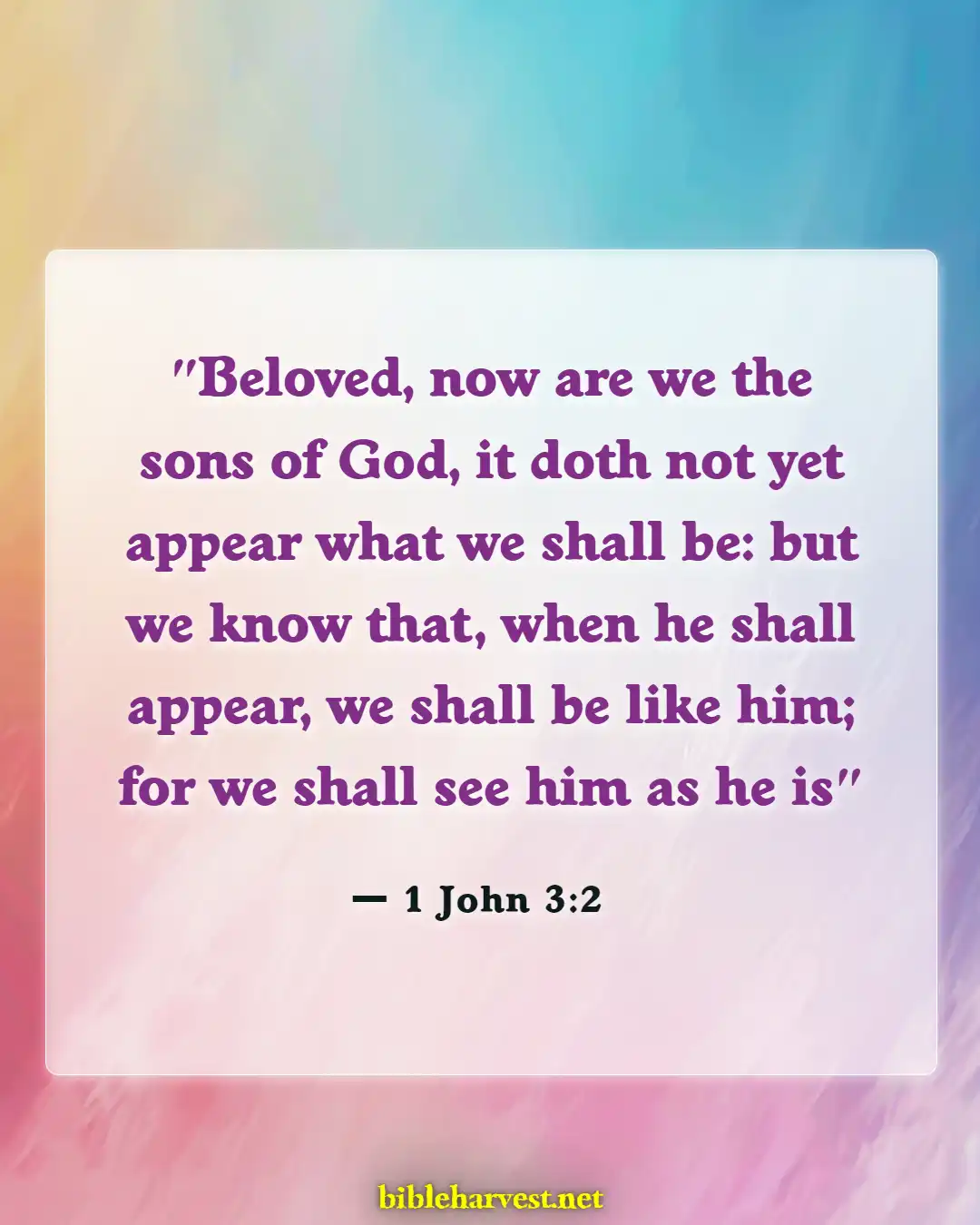 Bible Verses About Husband And Wife Reunited In Heaven (1 John 3:2)