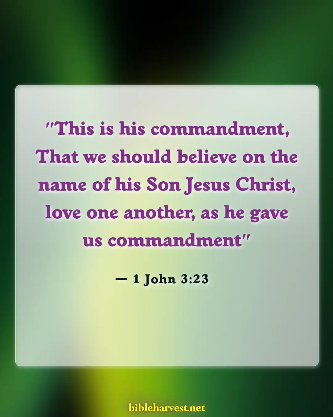 Bible Verses About Love Your Brothers And Sisters In Christ (1 John 3:23)