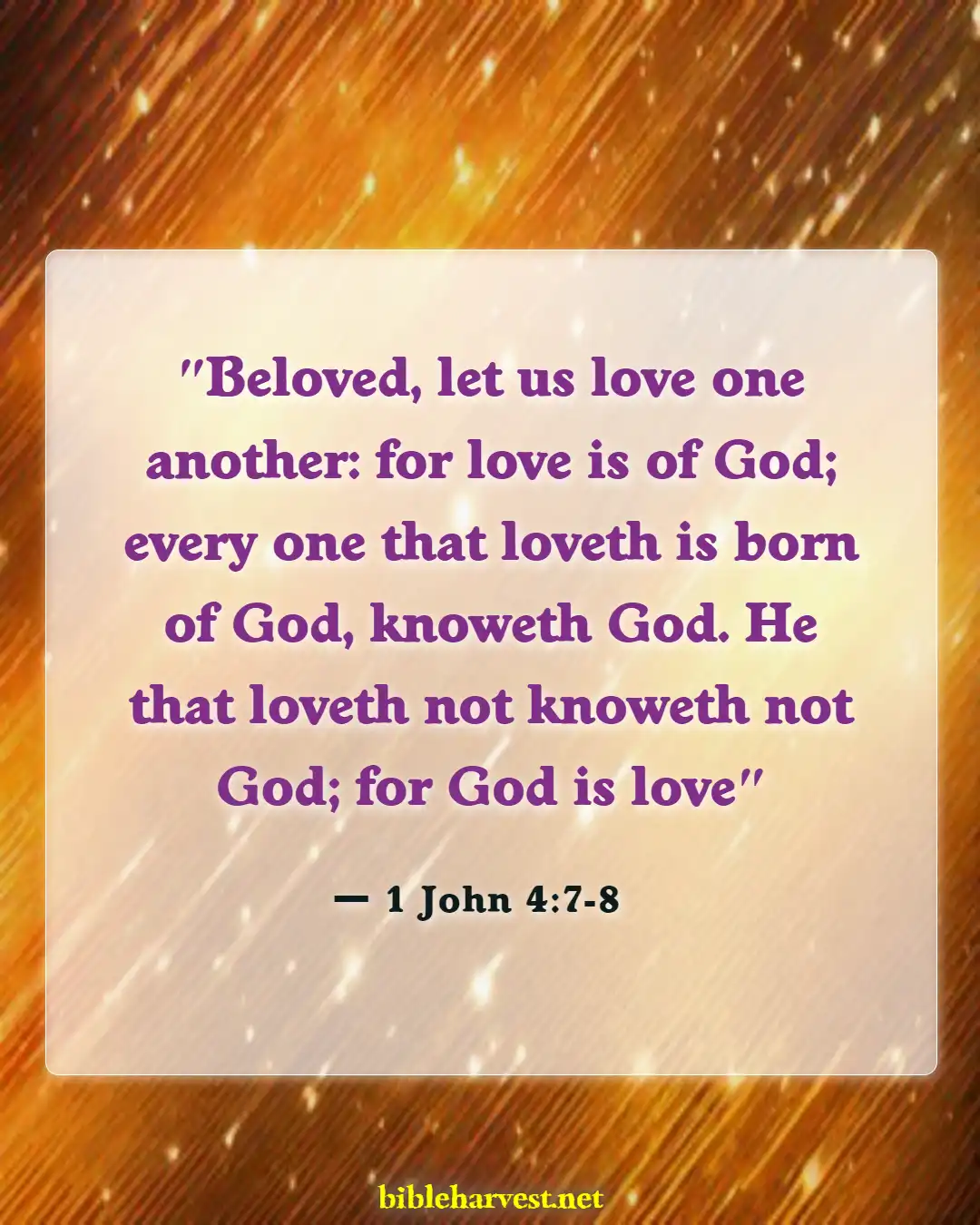 Bible Verses About Finding Your Soulmate (1 John 4:7-8)