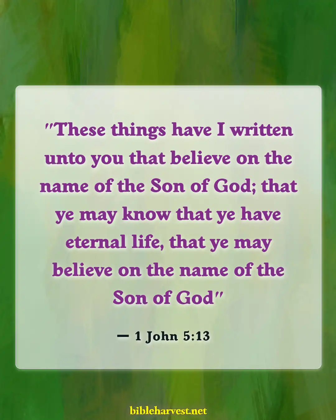 Bible Verses About Assurance Of Salvation (1 John 5:13)