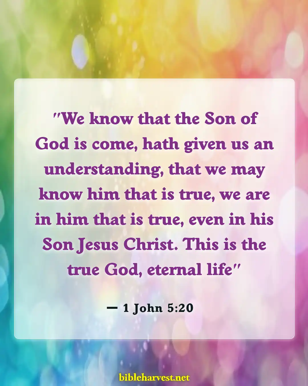 Bible Verses About Unbelievers Not Understanding (1 John 5:20)