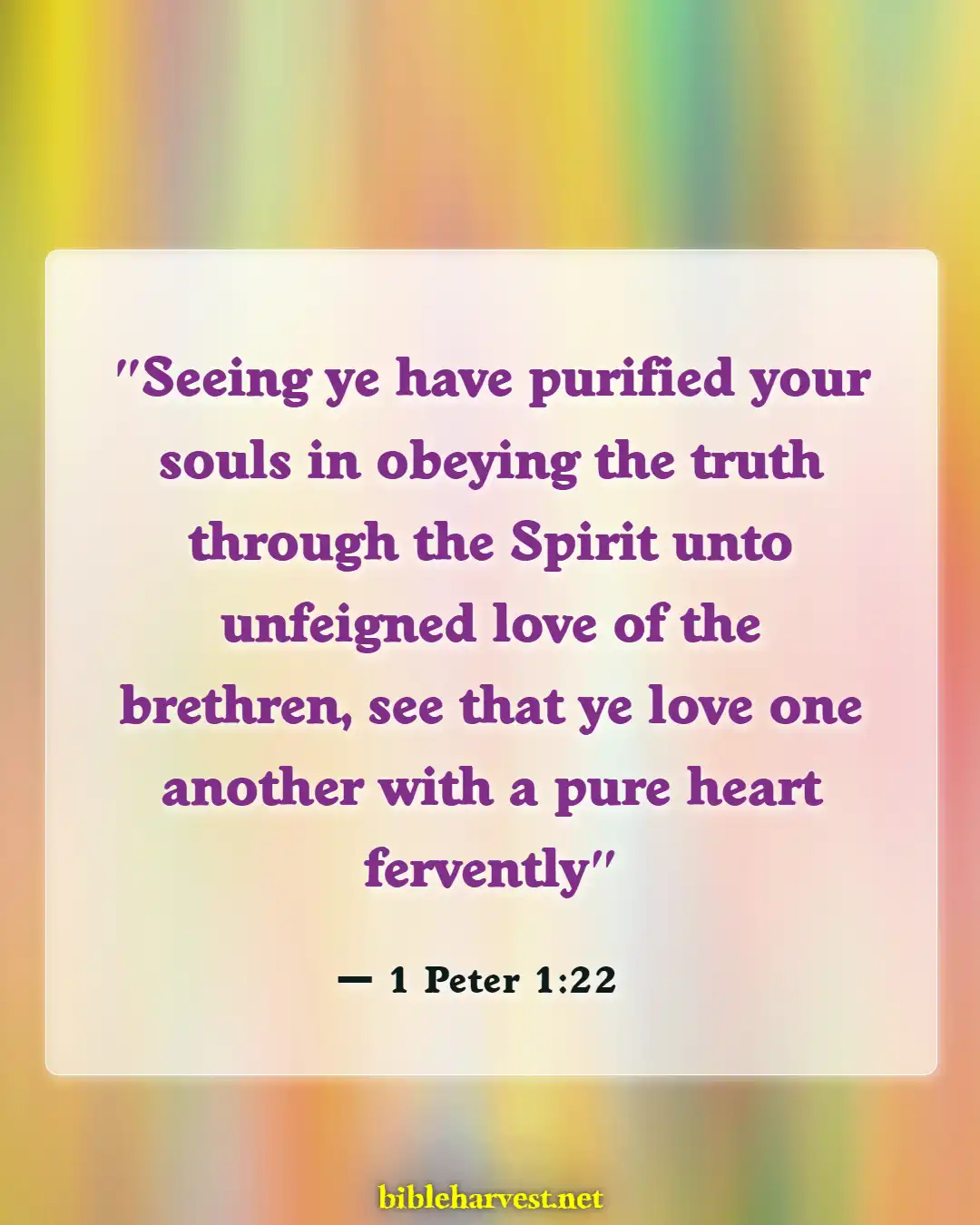 Bible Verses About Cleanliness (1 Peter 1:22)