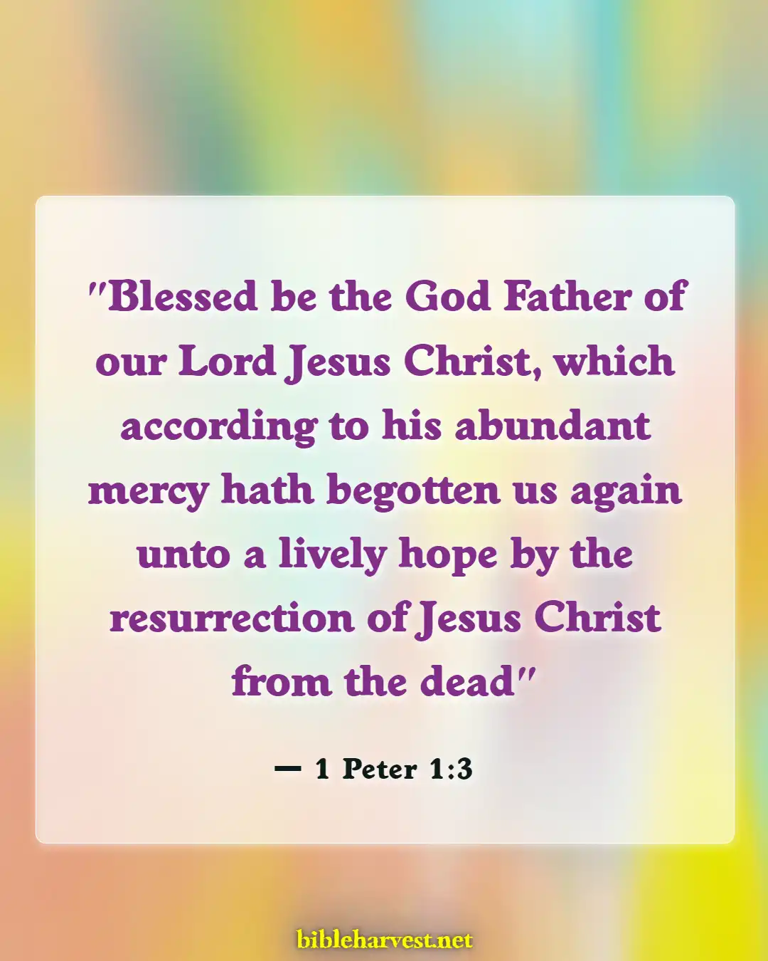 Bible Verses About Hope (1 Peter 1:3)