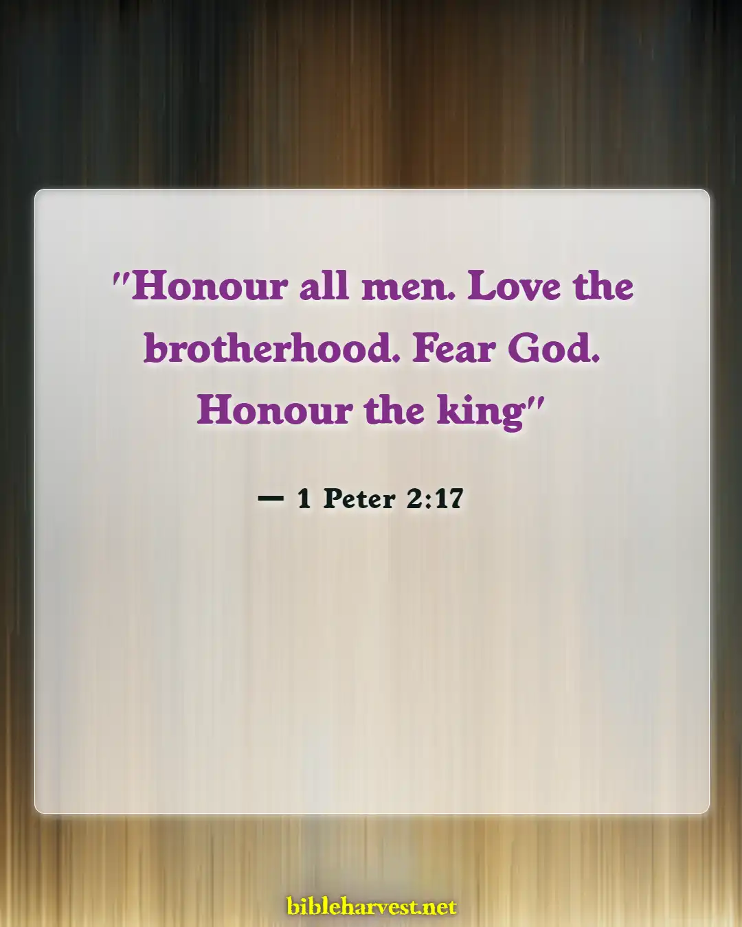 Bible Verses About Soldiers (1 Peter 2:17)