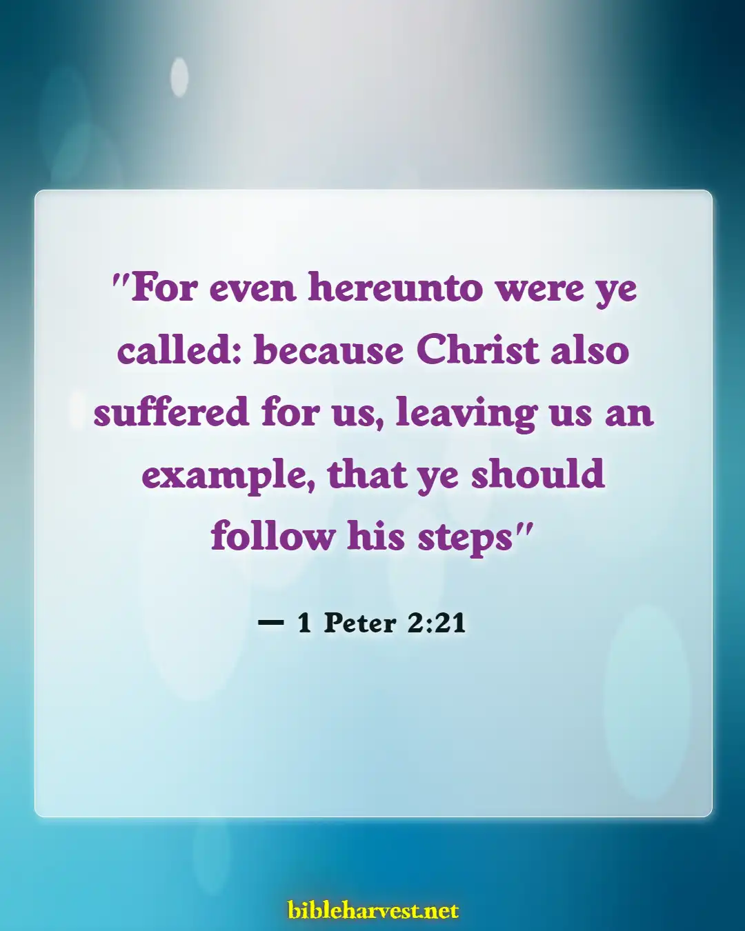 Bible Verses About Pain And Suffering (1 Peter 2:21)