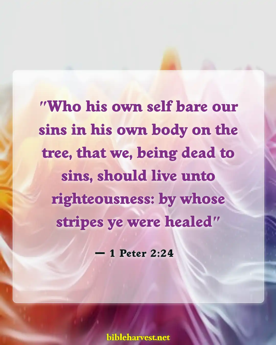 Bible Verses About Righteousness (1 Peter 2:24)