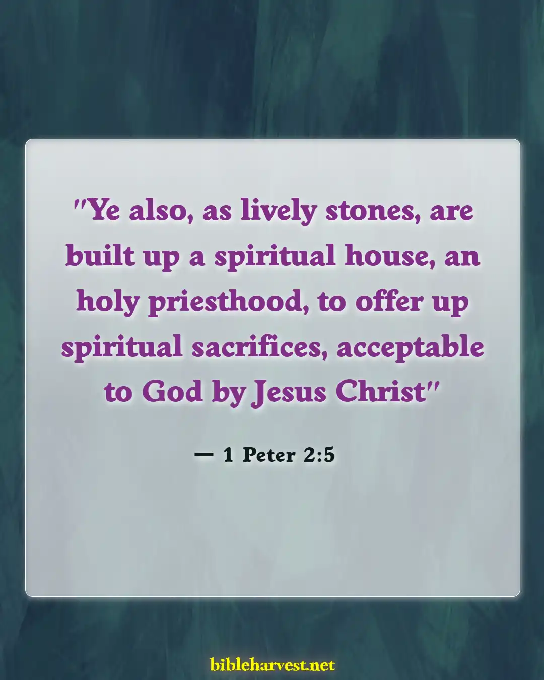 Bible Verses About Sacrifice (1 Peter 2:5)