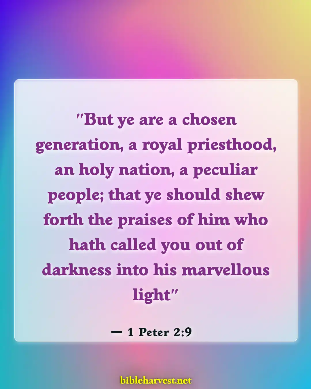 Bible Verses About Adoption (1 Peter 2:9)