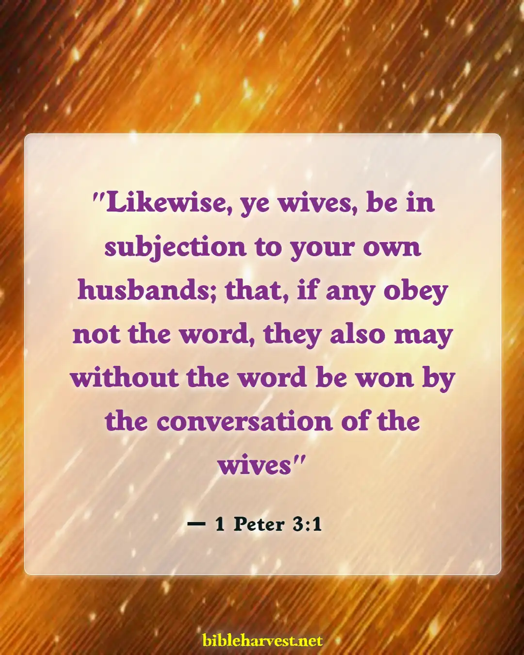Bible Verses About A Wife That Disrespects Her Husband (1 Peter 3:1)