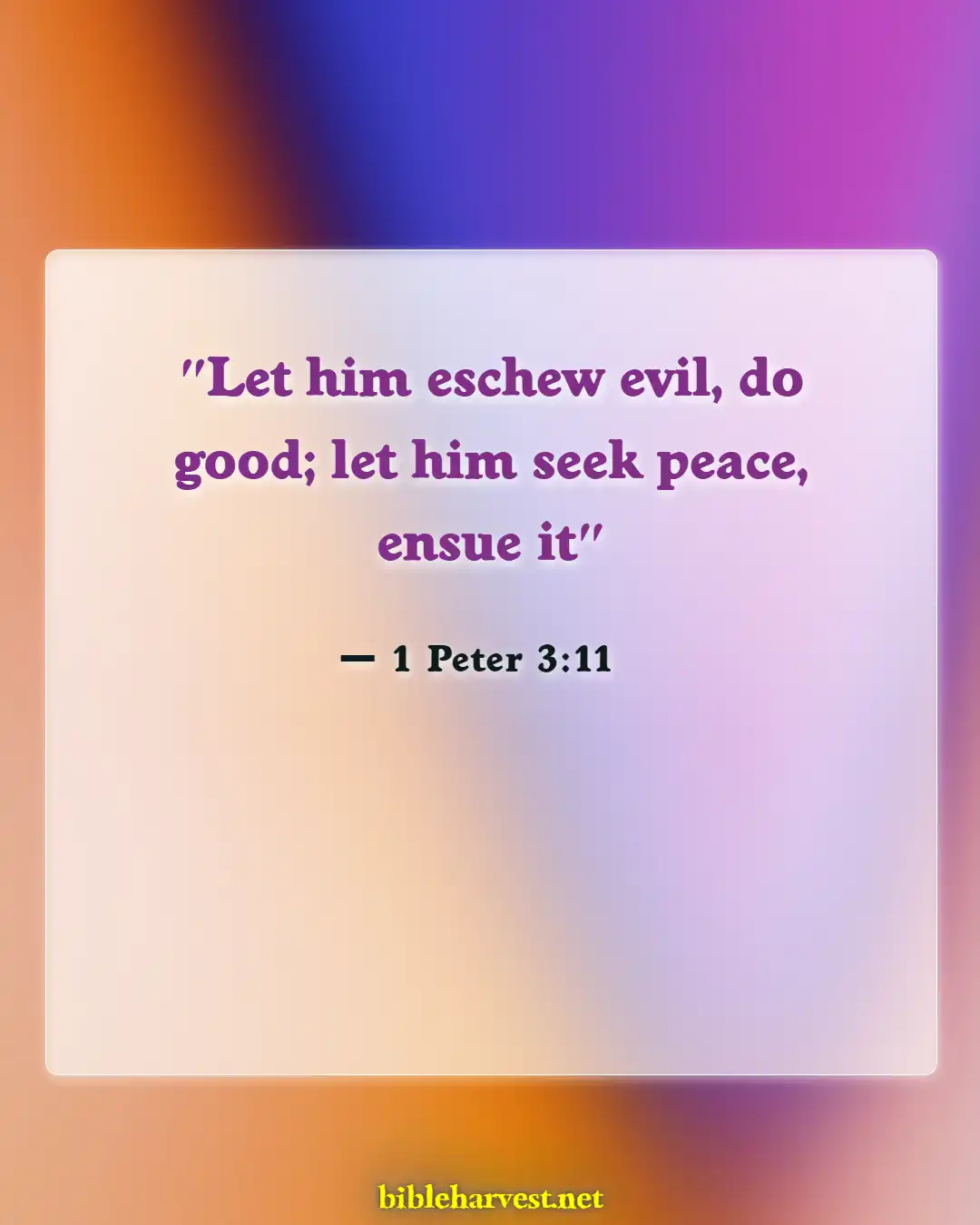 Bible Verses About Behavior (1 Peter 3:11)