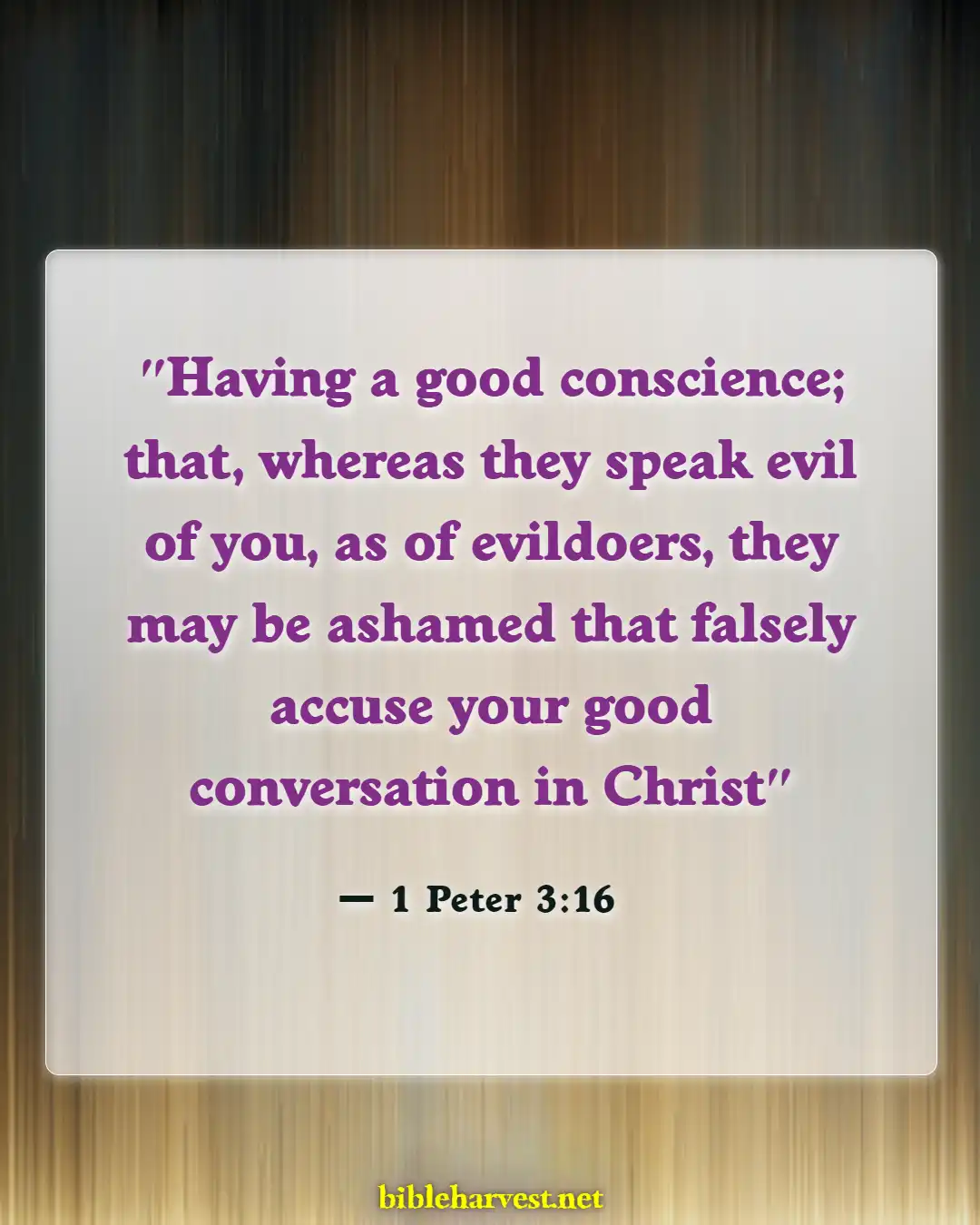 Bible Verses About Testimony (1 Peter 3:16)