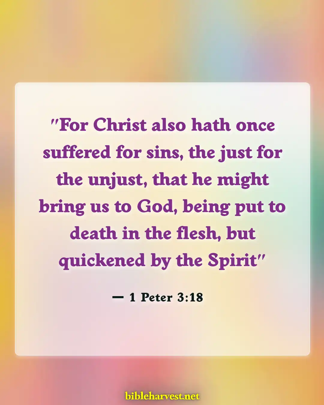 Bible Verses About You Are Valuable To God (1 Peter 3:18)