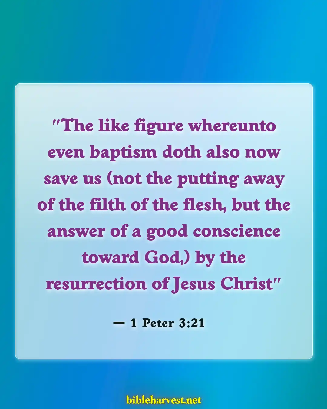 Bible Verses About Sacrament Of Baptism (1 Peter 3:21)