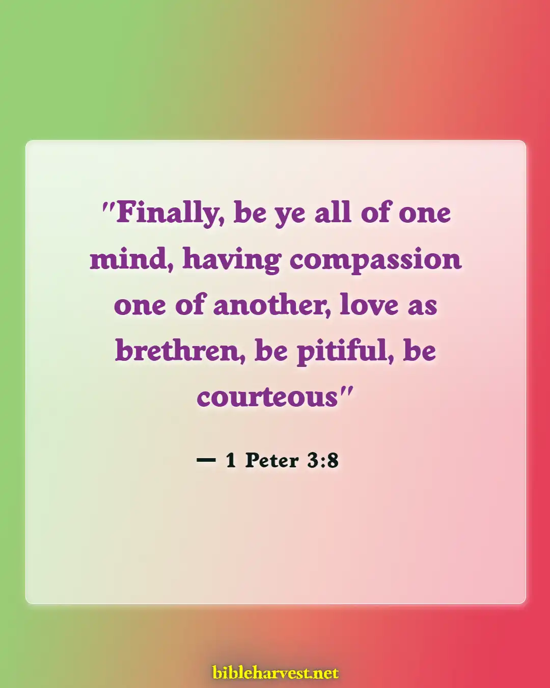 Bible Verses About Arrogance (1 Peter 3:8)
