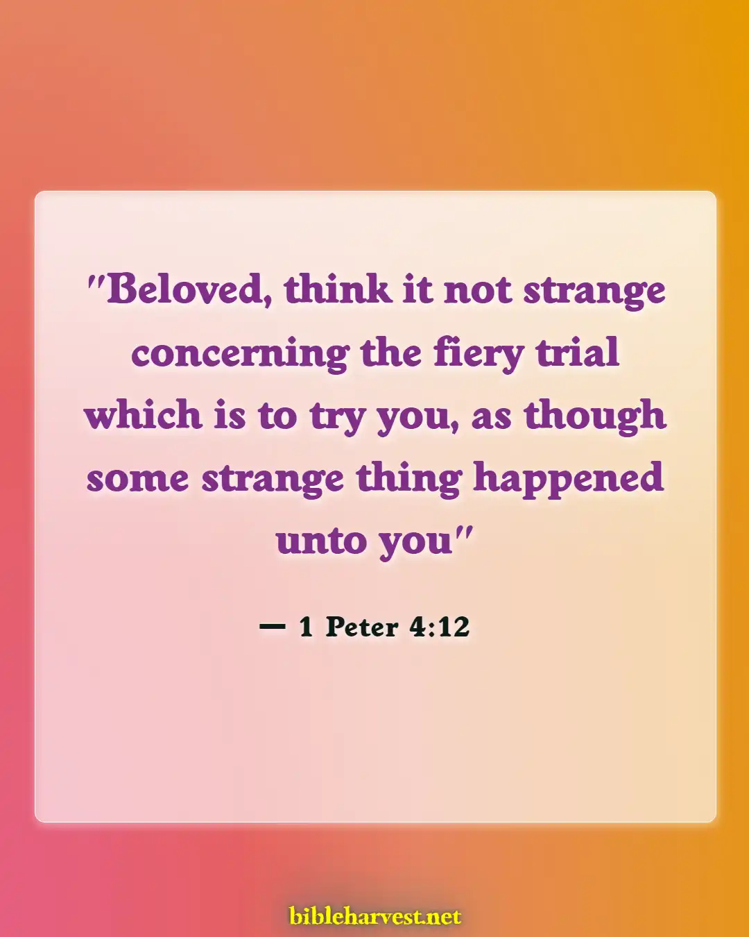 Bible Verses About Pain And Suffering (1 Peter 4:12)