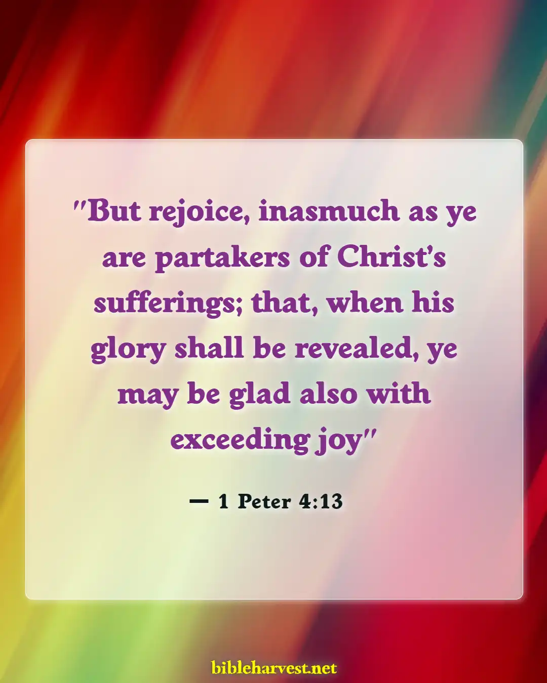 Bible Verses About Happy In Hard Times (1 Peter 4:13)