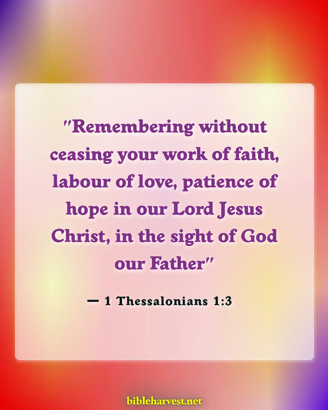 Bible Verses About Hope Patience For Good Blessed (1 Thessalonians 1:3)