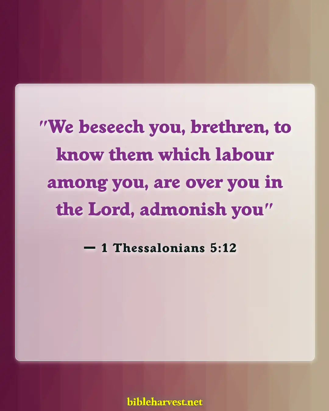 Bible Verses About Disrespecting Others (1 Thessalonians 5:12)