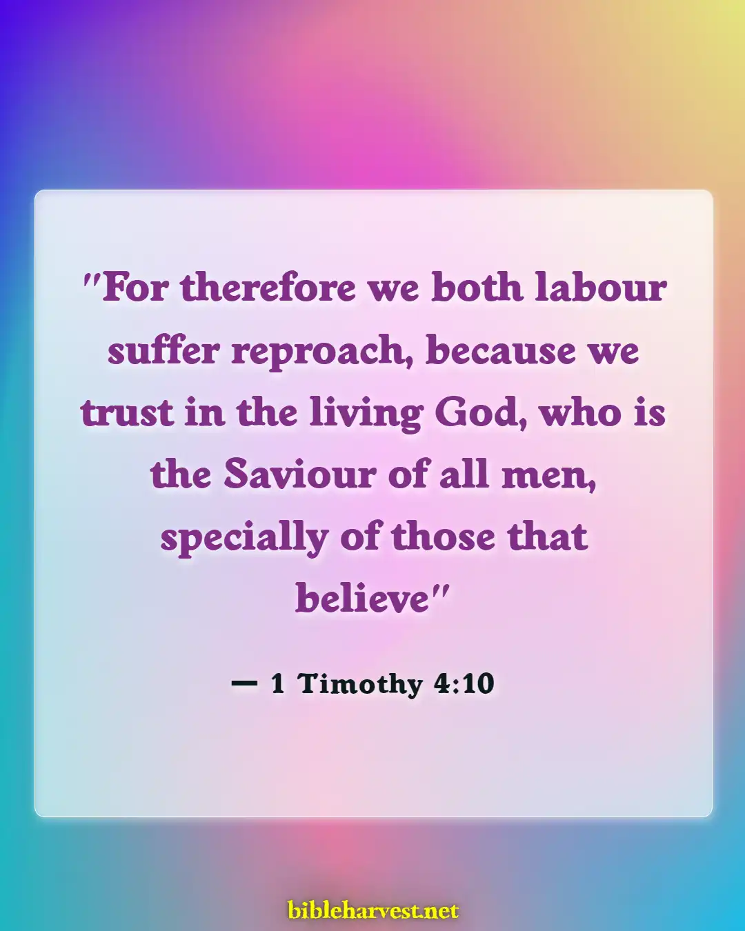 Bible Verses About Against Predestination (1 Timothy 4:10)