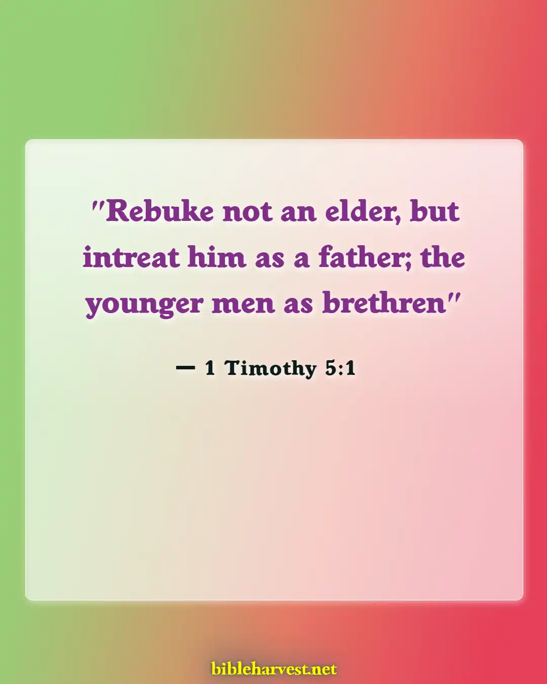 Bible Verses About Grandparents And Grandchildren (1 Timothy 5:1)