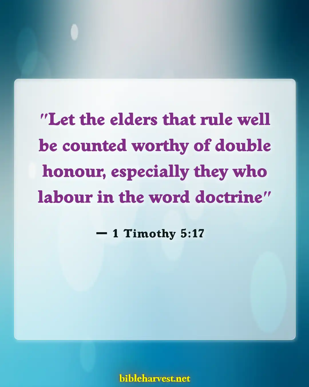 Bible Verses About Age And Wisdom (1 Timothy 5:17)