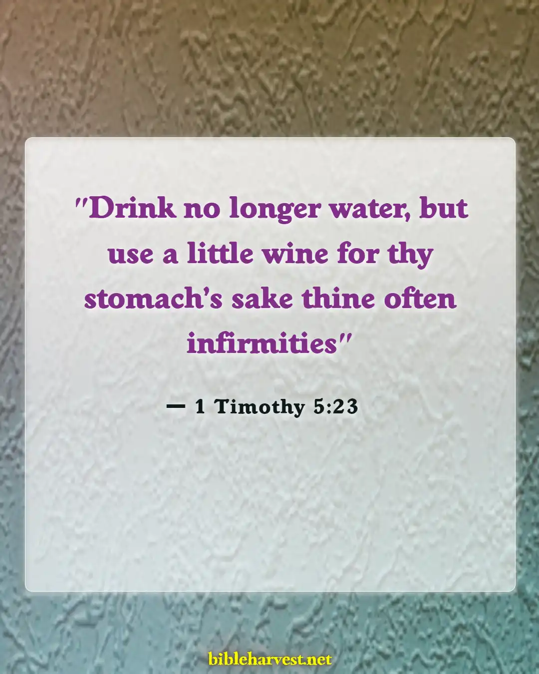 Bible Verses About Weed (1 Timothy 5:23)