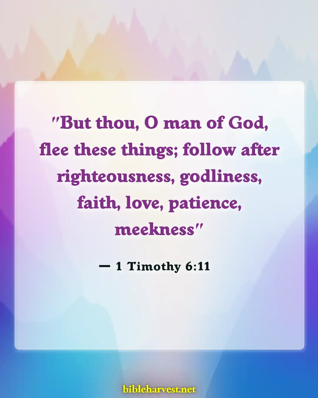 Bible Verses About Righteousness (1 Timothy 6:11)