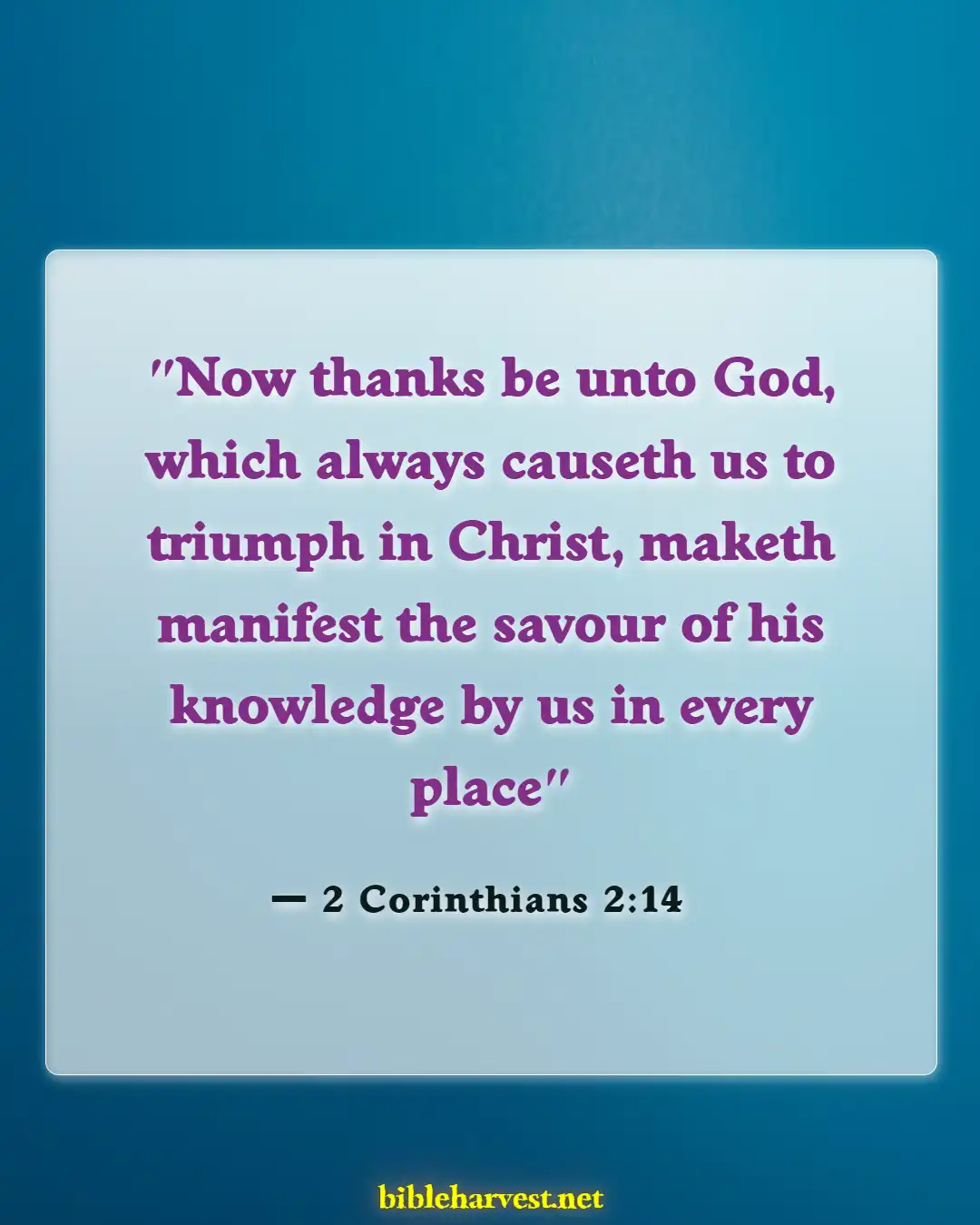 Bible Verses About Appreciation And Gratitude To Others (2 Corinthians 2:14)