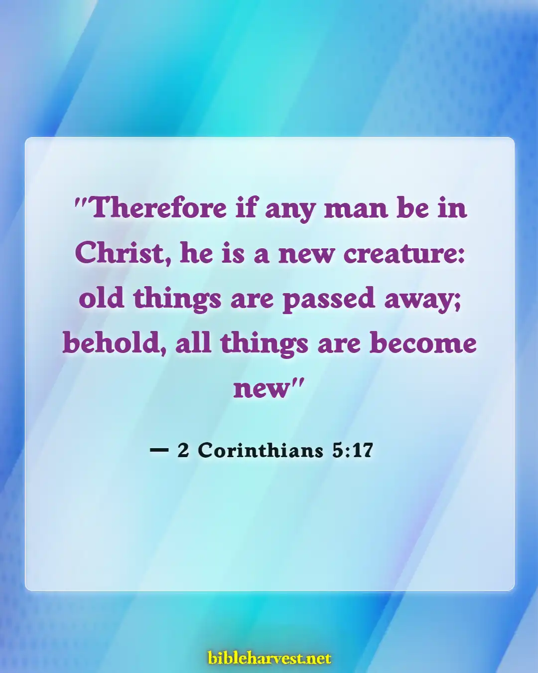 Bible Verses About Acceptance (2 Corinthians 5:17)