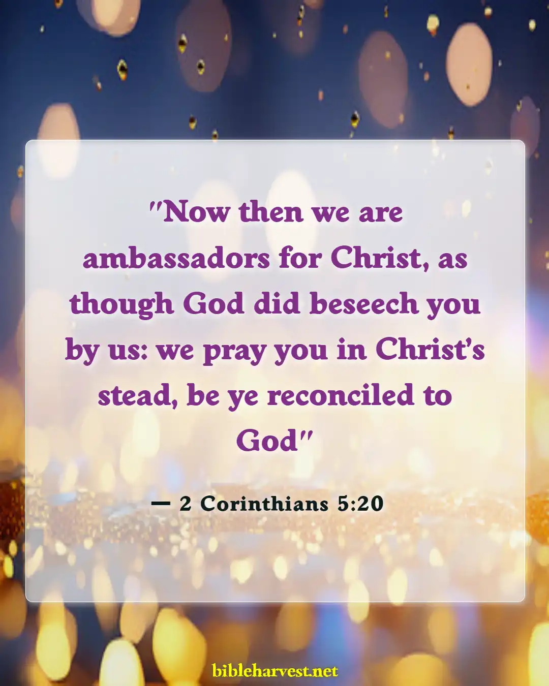 Bible Verses About Mission And Vision (2 Corinthians 5:20)