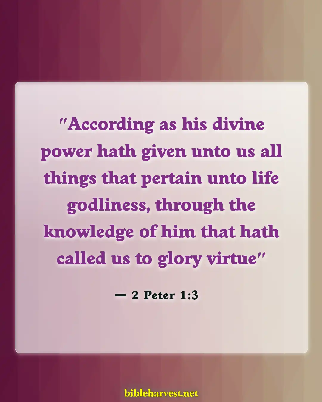 Bible Verses About Building A Relationship With God (2 Peter 1:3)