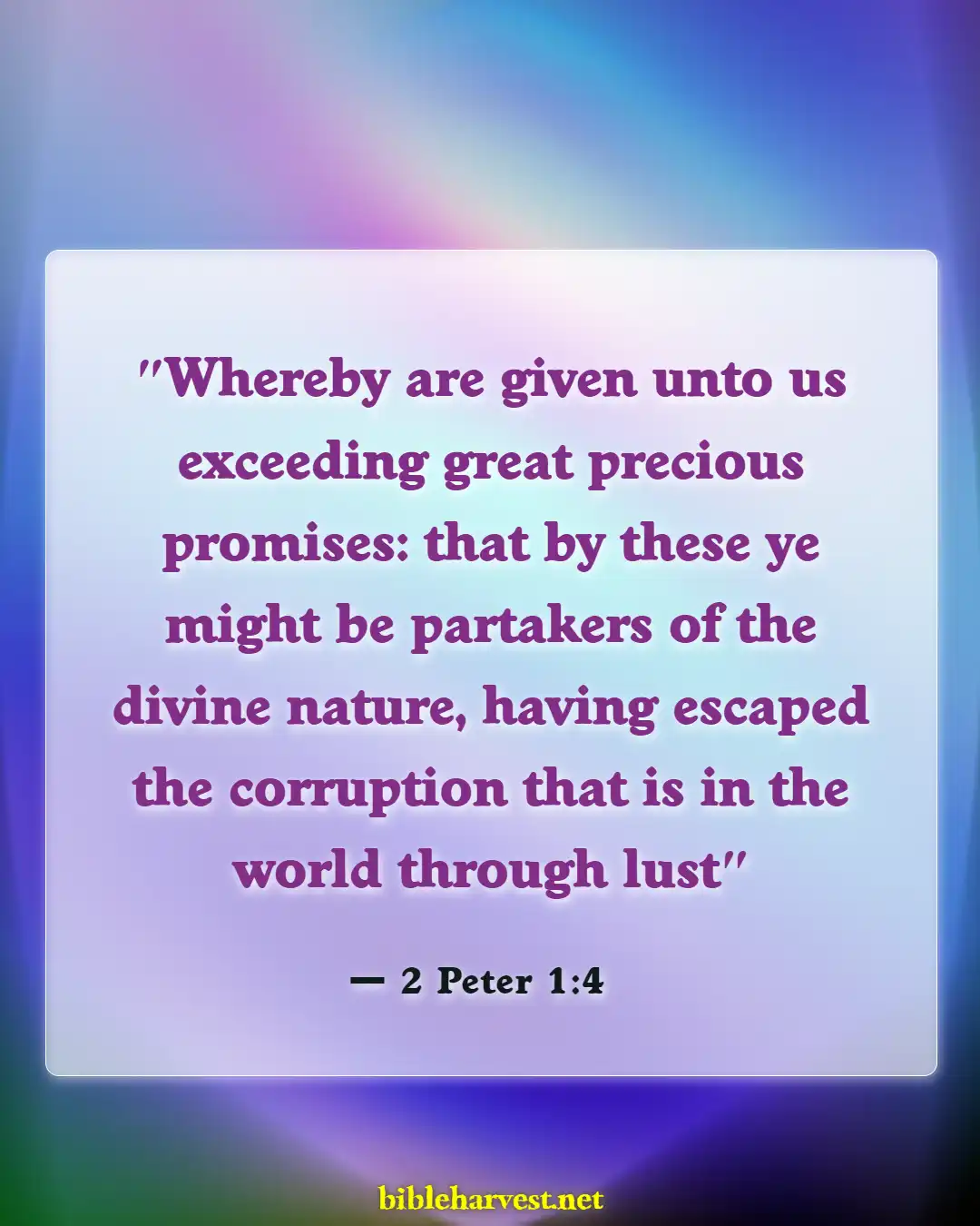 Bible Verses About Excitement (2 Peter 1:4)