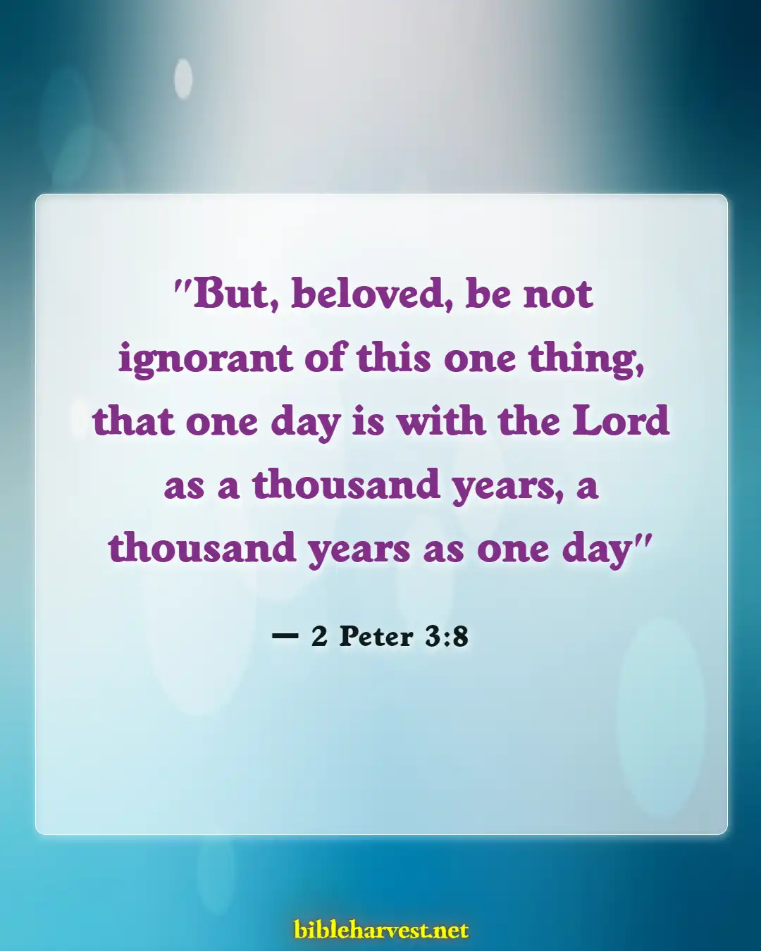 Bible Verses About God's Timing (2 Peter 3:8)